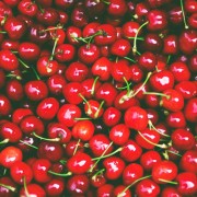 Producto o Servicio 8