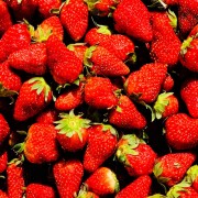 Producto o Servicio 8