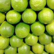 Producto o Servicio 8